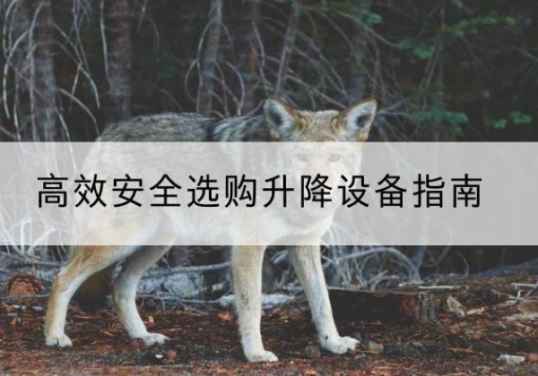 越秀升降货梯厂家推荐-*安全选购升降设备指南