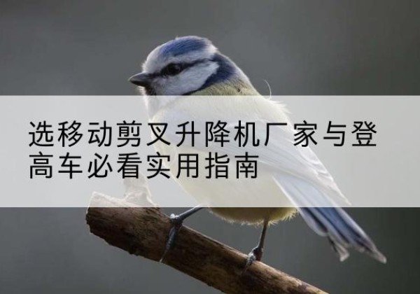 越秀电动升降机厂家-选移动剪叉升降机厂家与登高车必看实用指南